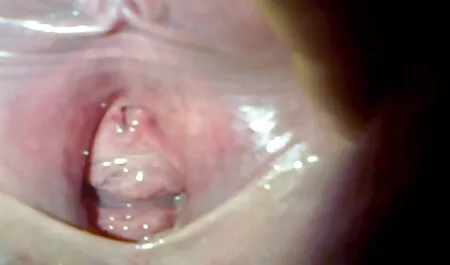 Papa - Blondes Duo in POV pornos neu Porn gefickt