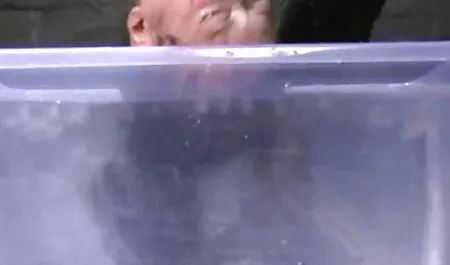 CGS neue deutsche sexvideos - REITKUMPILATION 4