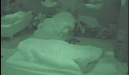 heiße neue pornos gratis brünette hardcore sex ficken