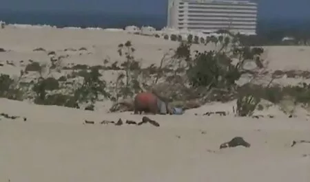 süße französische neue gratis pornos Mädels werden in Orgie anal gefickt