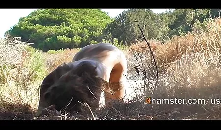 Zertifizierter Donk www neue sexfilme de 3