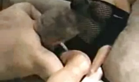 lockiges Ebenholzbaby neueporno