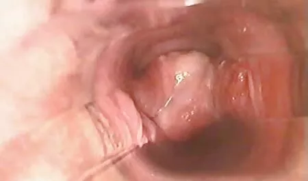 Asiatisch neue deutsche sexfilme kostenlos gut