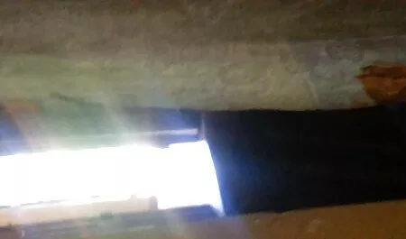 Adrianna Nicole neue pornos & Sasha Knox