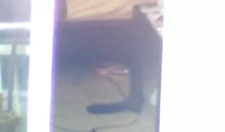 Schöne Lesben 15 sexvideo neu